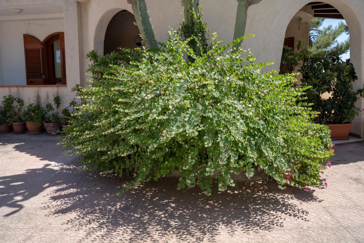 Bed and Breakfast Terrazza Sul Plemmirio Syracuse Exterior foto